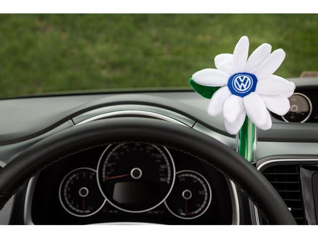 2016 volkswagen Beetle Convertible Beetle Flower Vase/Plush Daisy Combo ...